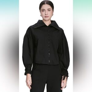 SDEER Women's High Collar Lace Up Blouses Casual Long Sleeve Button Down